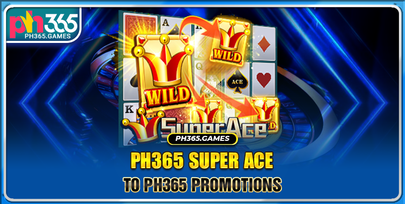 Important terms in the PH365 super ace slot game