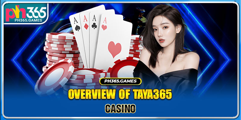 Overview of Taya365 Casino